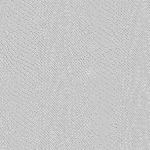 ANACONDA T011 - MakeFashion
